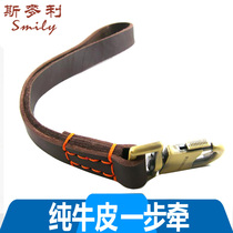 Cow Leather Dog Chain Pet Pooch Supplies Gold Wool Short Traction Rope Dog Rope Dog Chain with large dog accompanying one step ahead