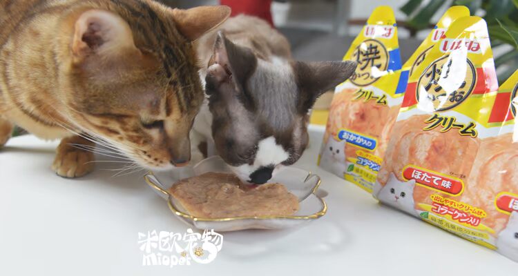 Mio Pet | Inabao CIAO Gold Hương vị dinh dưỡng Paste Cat Liquid Snacks Cat Wet Food 2 Pack 60g ca hop