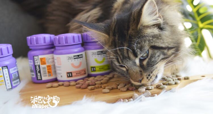 Miou Pet Bất kỳ 3 chai kết hợp Nference Wei Shi bổ sung vitamin taurine dinh dưỡng - Cat / Dog Health bổ sung cho mèo con uống sữa gì