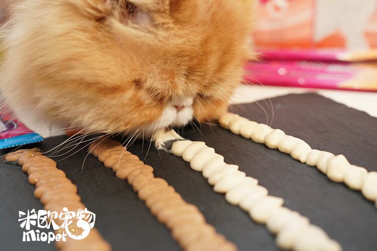 Miou Pet Đức Wei Ta Kraft Đối tác dinh dưỡng Mèo tuyệt vời Đồ ăn nhẹ cho mèo lỏng Hạt cho mèo trưởng thành