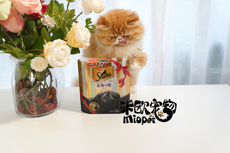 [Giải phóng mặt bằng] Thú cưng Mio Hippo Sheba Cat Meat Mud Liquid Cat Snacks BOX Hỗn hợp hương vị 12g * 32 - Đồ ăn nhẹ cho mèo hạt mèo royal canin