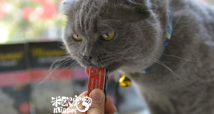 Đức Mai Ami Miami Kem thanh lý / Kem dinh dưỡng / Kem ốc quế Cat Taurine 1 hộp - Đồ ăn nhẹ cho mèo thức ăn cho mèo whiskas
