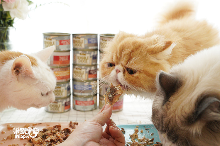 Mio Pet Kaler / Súp cải xoăn Meat Thịt mèo nguyên chất Đồ hộp mèo ăn nhẹ 85g * 4 lon (Hương vị hỗn hợp) mèo ăn hạt có tốt không