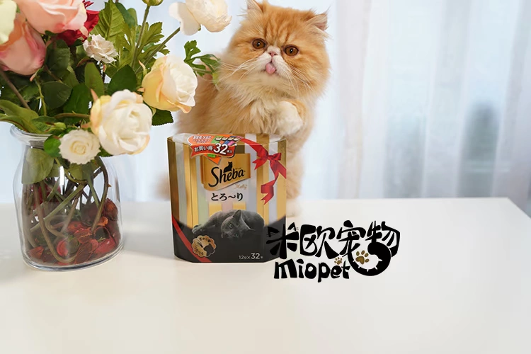 [Giải phóng mặt bằng] Thú cưng Mio Hippo Sheba Cat Meat Mud Liquid Cat Snacks BOX Hỗn hợp hương vị 12g * 32 - Đồ ăn nhẹ cho mèo