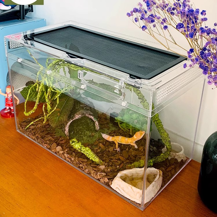 ミニペット ヒョウモントカゲモドキ 飼育セット 初心者用具 トカゲ サソリ 飼育箱 ミールワーム 加熱パッケージ