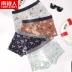 Nam Cực đồ lót nam đất sét nam boxer thanh niên bông modal phiên bản Hàn Quốc của băng lụa mới cotton thoáng khí quần lót su nam Võ sĩ quyền Anh