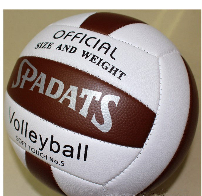 Ballon de volley-ball - Ref 2012580 Image 10