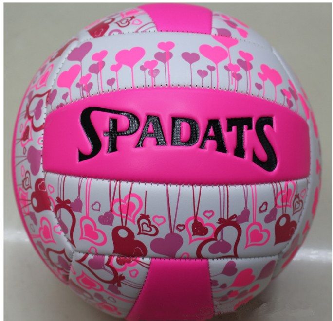 Ballon de volley - Ref 2012579 Image 8