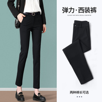 Suit pants womens summer thin high waist thin nine points professional leisure small feet straight tube pencil pants spring and autumn