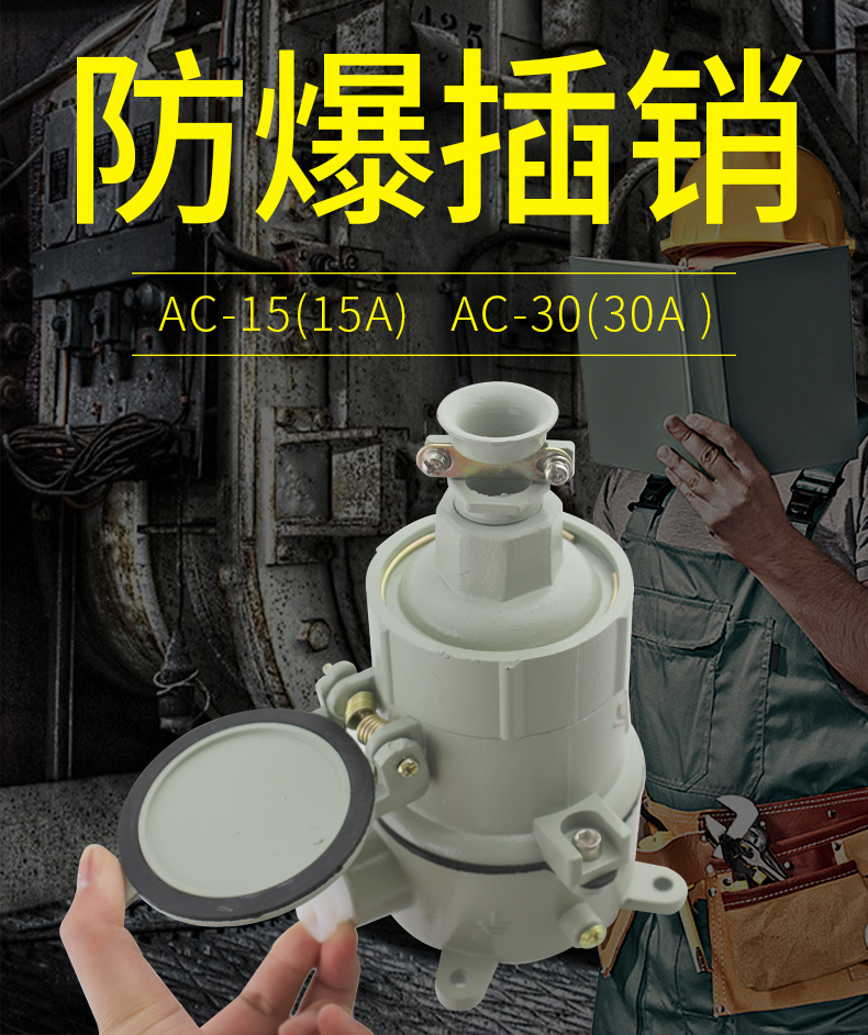 Explosion-proof bolt plug socket AC-15 in-line 220V 380V alloy aluminium die-cast 23 connected