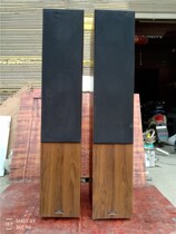 Domestic good product CAV Triumph No. 2 fever large floor speaker side 10 inch bass imported aluminum frame unit