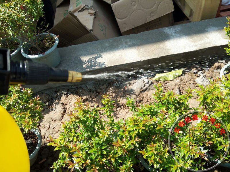 Bình xịt hoa phun khí nén kiểu bình xịt đuôi chai nhỏ tưới cao áp có thể phun dụng cụ làm vườn - Nguồn cung cấp vườn bộ vòi tưới cây