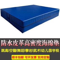 Somerset High Jumping Mat Gymnastics Dance Blanket Foldable thickened Wushu Rock Climbing Sit-ups Drop-Resistant Sponge Mat