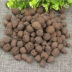 Đất dinh dưỡng Ceramsite Trồng vô cơ gốm carbon đất hấp thụ nước và nước tốt trồng dưới đất dụng cụ làm vườn chuyên nghiệp Nguồn cung cấp vườn