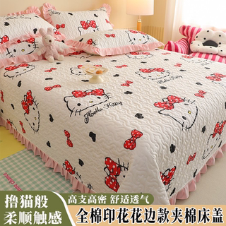 2025新款加厚冬全棉三丽鸥花边款夹棉床盖卡通印花纯棉三件套家用