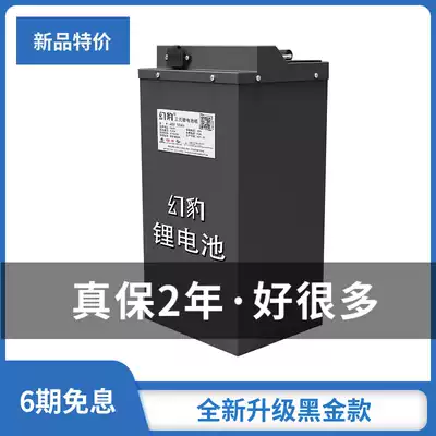 Phantom Leopard lithium battery 60V 50 a 48V large capacity new national standard 72v electric car delivery special battery a modification