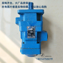 Double vane pump gear oil pump YB1-16 6 YB1-25 6 YB1-6 6 YB1-10 6 Lubrication pump