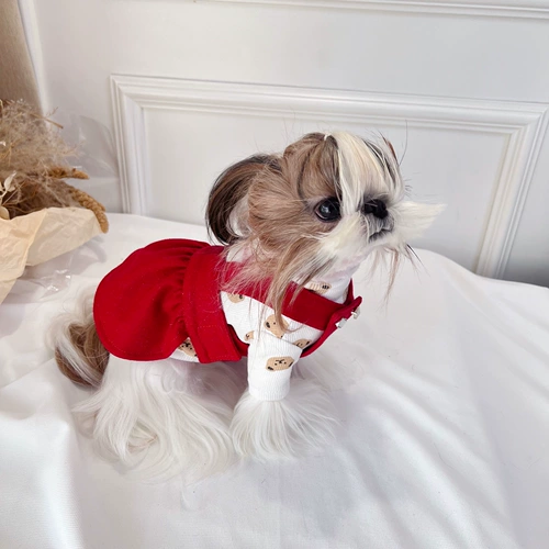 Домашние кошки и собачья юбка