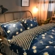 Hai mặt dày Falais giường sinh viên ký túc xá ba mảnh flannel quilt tấm trải giường lông cừu san hô bốn mảnh chăn ga gối đệm màu hồng