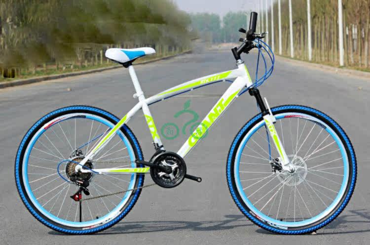 Déco pour vélo - Ref 2281190 Image 14