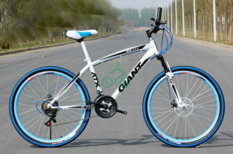 Déco pour vélo - Ref 2281190 Image 10