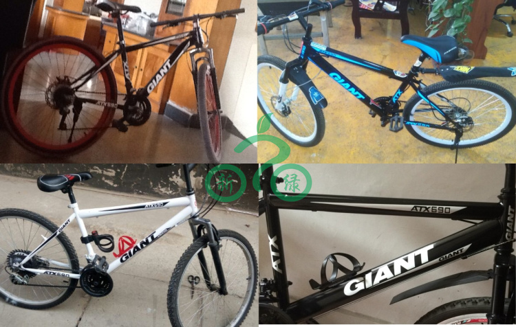 Autocollant pour vélo - Ref 2275854 Image 28