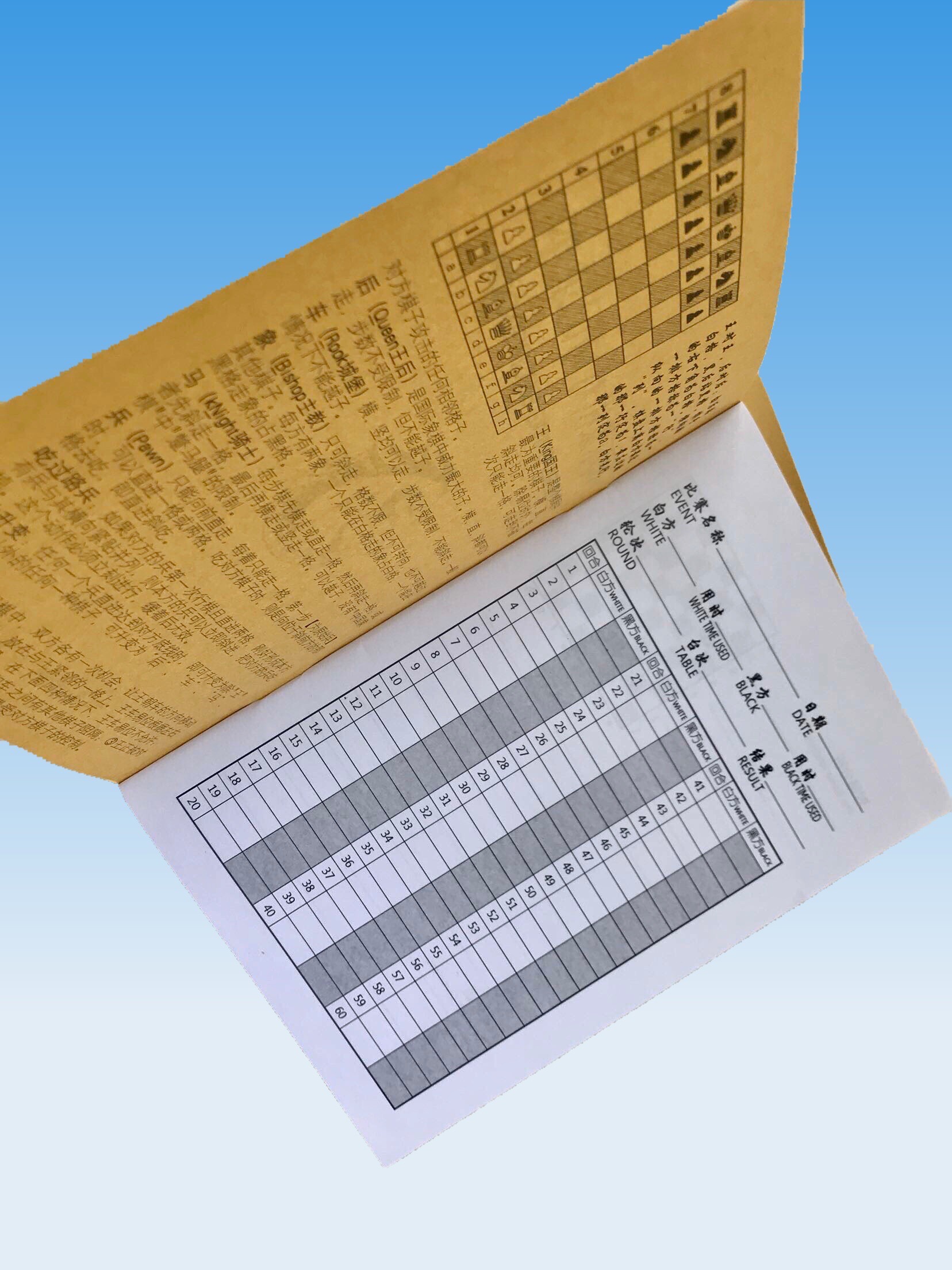 Chess Pairs Bureau Records This 2020 New Version of the Great Plaid Disc Coaching the Chessboard Grid Functional Valentine's Day
