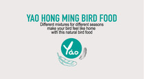 Postal fee yao cant stop yao Hongming handmade bird food dog food cat food pet food