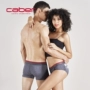 Caber / Calbury couple đồ lót 2018 cặp vợ chồng mới mô hình modal cotton boyshort đồ lót nam quần lót dệt kim