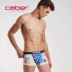 Caber / Cabali quần lót cặp đôi nam boxer nữ tam giác cá tính thời trang gợi cảm mid-cotton cotton Cặp đôi