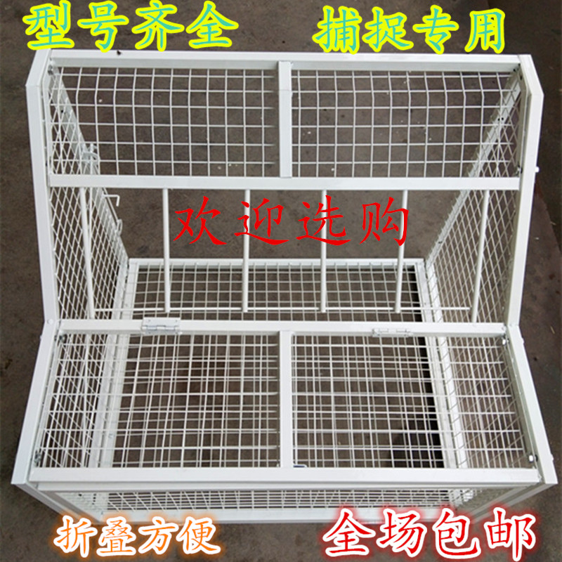 Cung cấp chim bồ câu, bồ câu, lồng, sắt đậm, chống chuột, chống mèo, cửa, đào tạo, bay, xuất nhập khẩu - Chim & Chăm sóc chim Supplies lồng chim cảnh