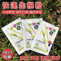 Plant universal rooting powder rooting rooting agent lawn seedlings fruit tree nursery root seedling fruit tree seedling root seedling agent