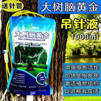 Big tree nutrition sling fluid brain gold plant nutrient solution universal tree transplanting infusion sling fluid Activation Solution