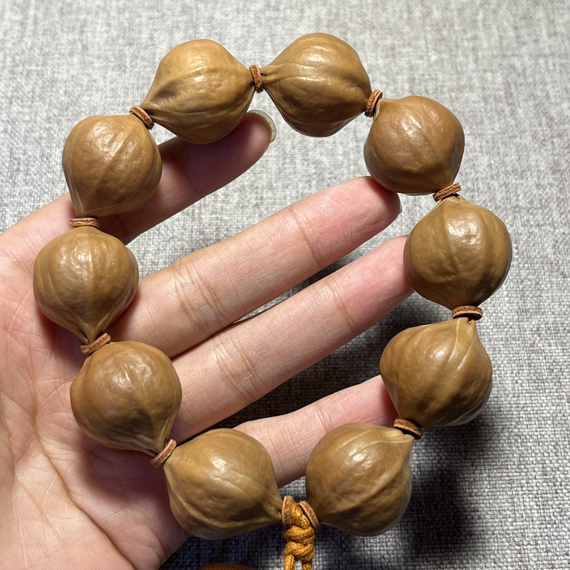 2.3 Olive Pits with Original Skin, Garlic, Old Tree, Old Oil Pits