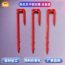 Watermelon pressure vine seedling holder watermelon fork vine vine seedling holder watermelon vine clip melon seedling rooting