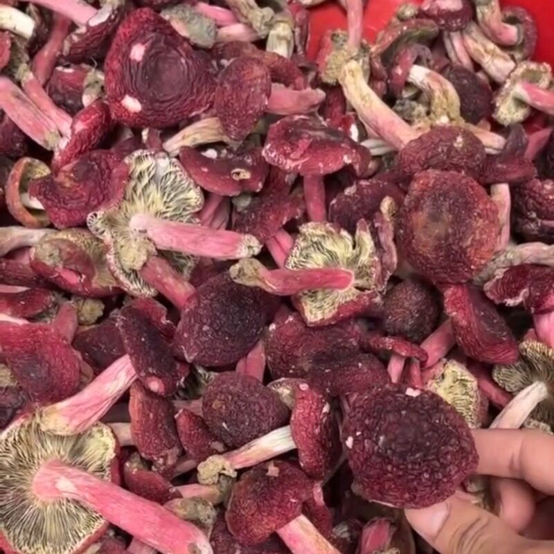 瑶瑶干货铺