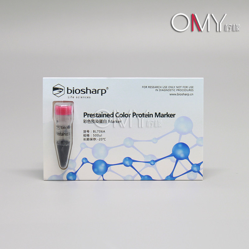 biosharp 彩色预染蛋白Marker 500ul BL706A