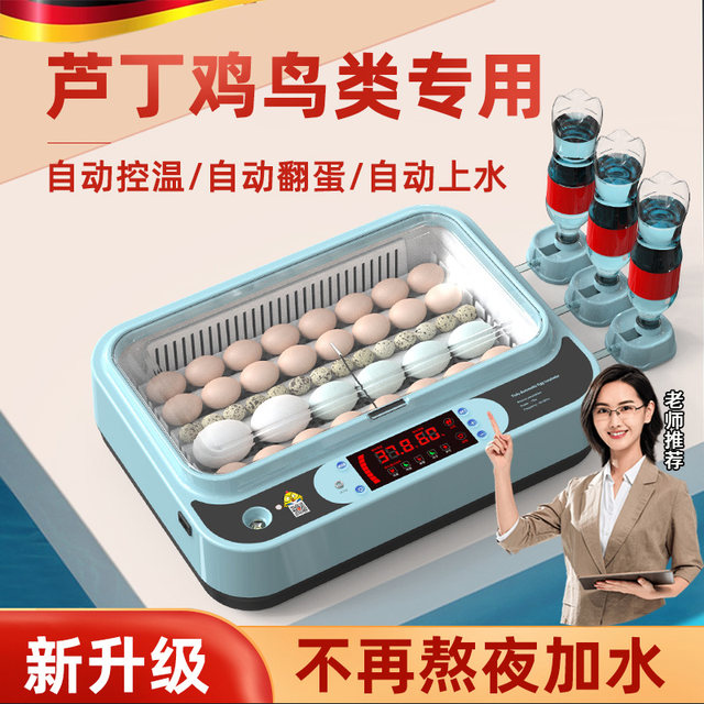 German incubator small household fully automatic intelligent egg incubator parrot bird egg chick rudin chicken incubator box