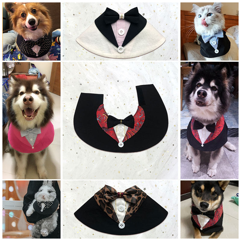 Pure Handmade Original West Suit Pet Purse Cloak with Shoulder Pet Cloak Teddi Samo Gold Wool with a Cape Scarf-Taobao