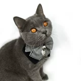 Шарф -шарф Alasamaya Triangle Walm свадьба свадьба свадебная свадьба ласточка хвост собака собака золотая свадьба мао