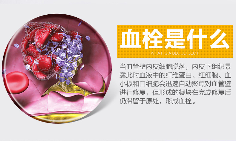 Mỹ Enzyme gốc Litong GNC Ginkgo Biloba Tinh chất nhồi máu não Huyết khối Não mất trí nhớ Sản phẩm sức khỏe - Thức ăn bổ sung dinh dưỡng viên mầm đậu nành