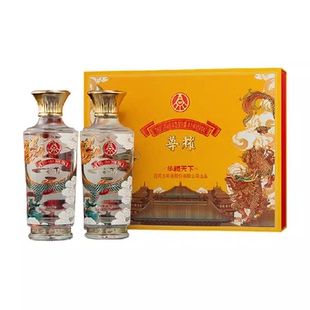 五粮液华樽天下52度浓香型白酒500ml*2瓶