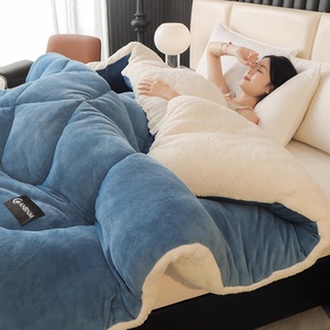 羊羔绒被子2025新款冬季棉被
