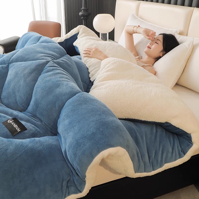 羊羔绒被子2025新款冬季棉被秋冬被加厚保暖10斤冬天宿舍单人被芯