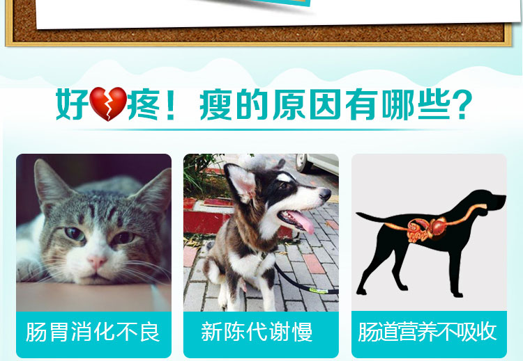 Pu Shikang muốn con chó mèo béo kho báu để điều chỉnh vỗ béo đường tiêu hóa và tăng cường chất béo mèo điều hòa sinh sản thúc đẩy đường tiêu hóa - Cat / Dog Health bổ sung 	sữa cho chó có bầu