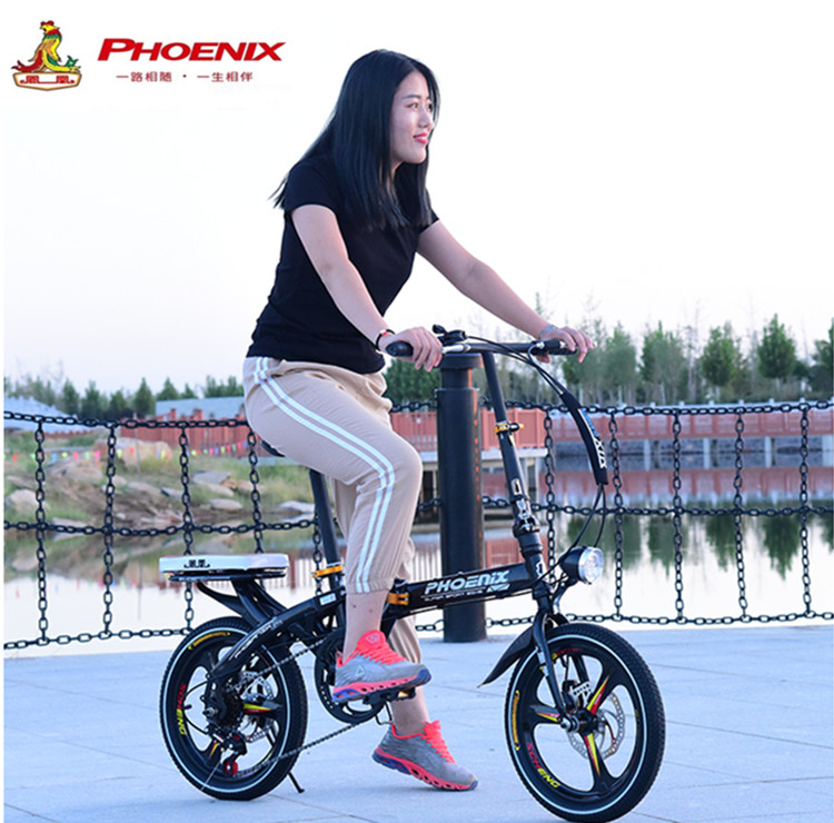 phoenix folding bike