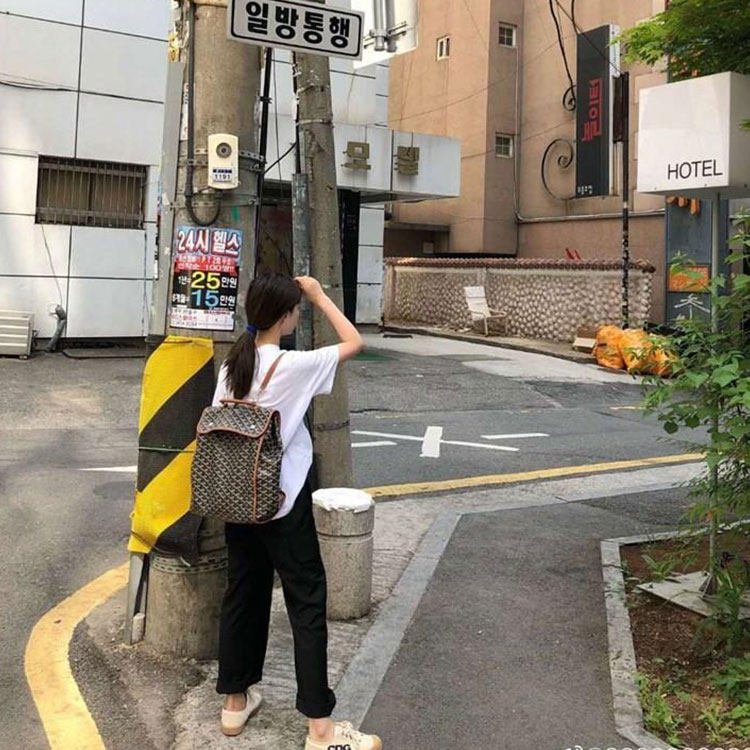 Elegant Germany new Goya goyard backpack VC Achigo with fashion dog tooth leather shoulder folding bag