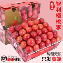 Shun Feng speed da Chile cherry Li Xinfresh 3 catty imported plum fruit when season burst sweet cherry whole box 10