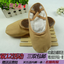 Chinese dance professional examination dance shoes teacher special dance star ballet art test instep cat claw shoes soft soles shoes