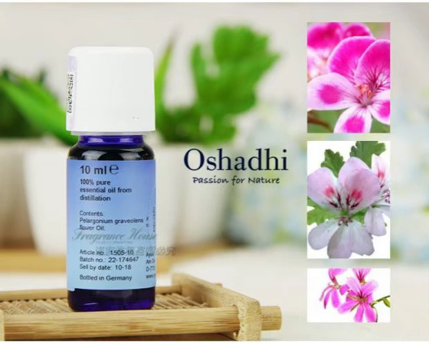 Promise German O Home # 1505 Rose Geranium Essential Oil 10ml Dầu kiểm soát dầu Oshadhi Vui tươi - Tinh dầu điều trị